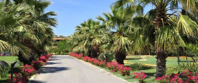 Acacia Resort Parco Dei Leoni